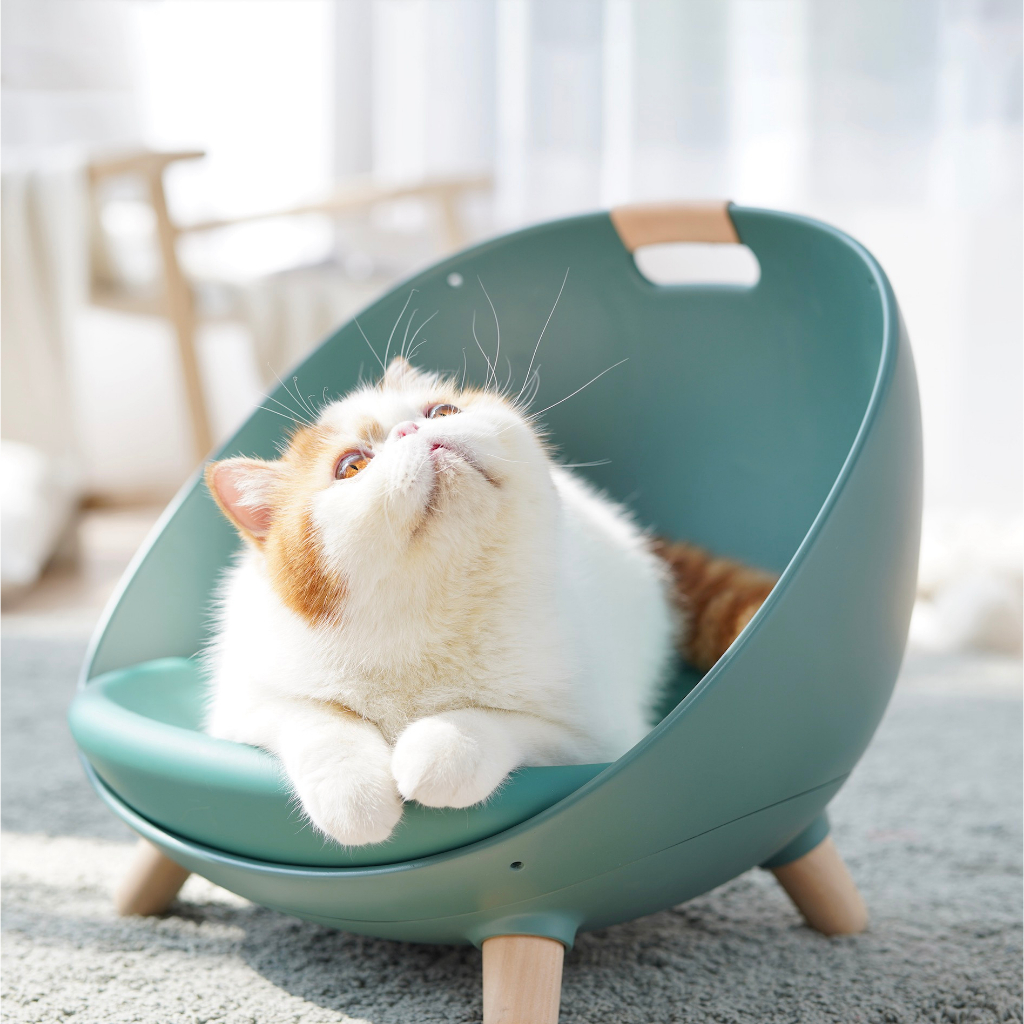 Makesure DAFU 4in1 Cat Bed Sofa, Chair, Swing-Comfy&amp; Practical ที่นอนแมว โซฟา เก้าอี้ ชิงช้า สะดวกสบายและใช้งานได้จริง