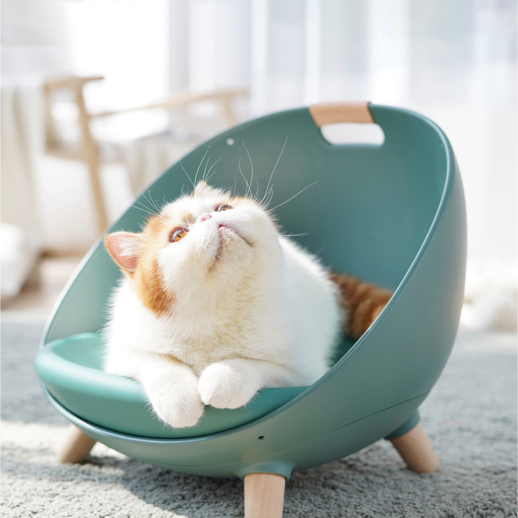 Makesure DAFU 4in1 Cat Bed Sofa, Chair, Swing-Comfy& Practical ที่นอนแมว โซฟา เก้าอี้ ชิงช้า สะดวกสบายและใช้งานได้จริง