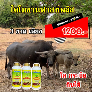 ไคโตซานฟาสท์พลัส ผสมติดง่าย ติดไว ชัวร์