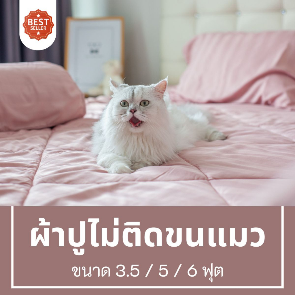 ผ้าปูที่นอนไม่ติดขนแมว ผ้าปูป้องกันขนแมว มีทุกขนาด 3.5-6ฟุต รีวิวเพียบ