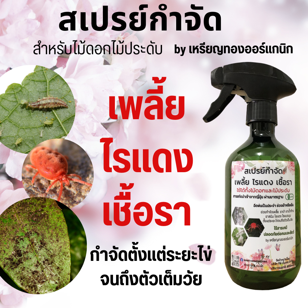สเปรย์กำจัดเพลี้ย กำจัดไรแดง กำจัดเชื้อรา ราดำ ป้องกันเพลี้ย ไม้ดอก ไม้ใบ ต้นไม้ทุกชนิด