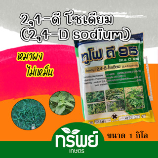 2,4-ดี โซเดียม กำจัดหญ้าใบกว้าง #หมาผง #กำจัดหญ้าใบกว้าง 1 ลิตร #หญ้าแห้วหมู #เครือเถาว์ #วัชพืช