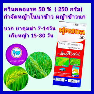 ควินคลอแรก 50% ยาฆ่าหญ้าในนาข้าว ควินคลอแรก ชนิดผง 250 กรัม+ จับใบอย่างดี 100 cc กำจัด หญ้าข้าวนก หญ้าลิเก หญ้าพุ่มพวง