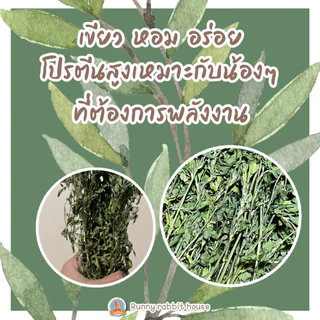 ในไลฟ์ลด40%อัลฟาฟ่าอบแห้ง อัลฟาฟ่าก้านใบ อัลฟาฟ่าคัดใบล้วน เกรดซุปเปอร์พรีเมี่ยม ใหม่ เขียว หอม