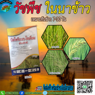 บิสไพริแบก100 กรัม หญ้ากระดูกไก่ หญ้าข้าวนก หญ้าดอกข้าว เรียบกริ๊บหมดทุ่ง ข้าวไม่แดง ไม่อาน ราชาเต่าเกษตร