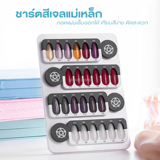 ชาร์ตแม่เหล็กโชว์สีเจล (B107)