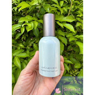 JUNGSAEMMOOL Essential Mool Cream light 50ml. ครีมบำรุงผิว ผิวชุ่มชื้น ครีมบำรุงเกาหลี