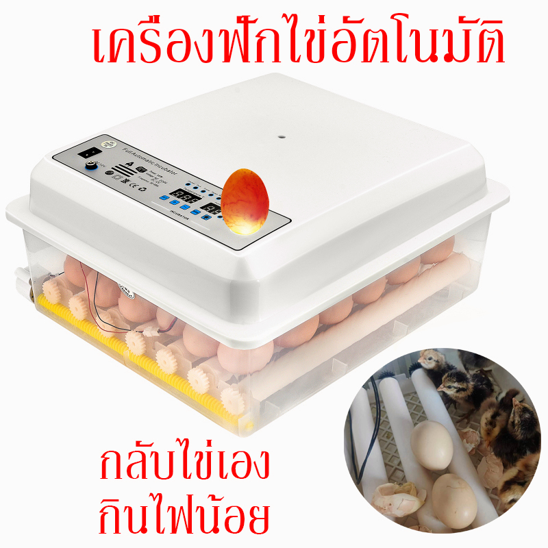 รับประกัน ตู้ฟักไข่ถูกๆ ตู้ฟักไข่ไก่ ไข่เป็ด ไข่ห่าน ไข่นก เครื่องฟักไข่ อัตโนมัติ วิธีการใช้งานง่าย อัตราการฟักสูง