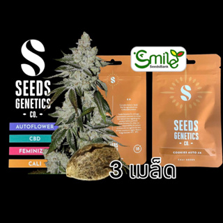 เมล็ดกัญชา Cookies (Auto) - Seeds Genetics.Co