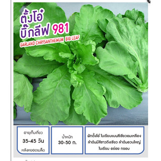 เมล็ดพันธุ์ ตั้งโอ๋ ตังโอ๋ บิ๊กลีฟ - Garland Chrysanthemum Big Leaf ตราดอกแตง เมล็ดพันธุ์คุณภาพ "เพื่อนเกษตรกร"