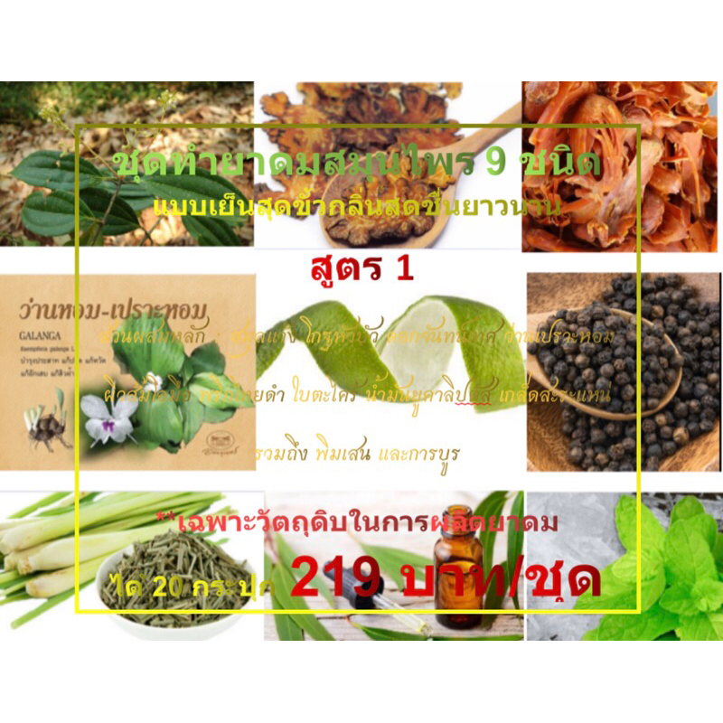 #วัตถุดิบยาดม #สูตรยาดม #สมุนไพร9ชนิด #เย็นสุดขั้ว #สดชื่นยาวนาน