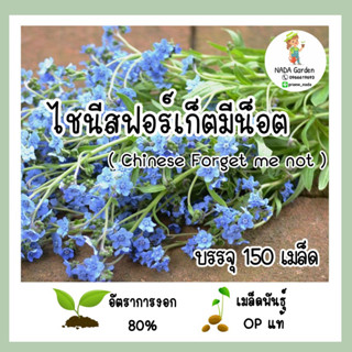 เมล็ดพันธุ์ ไชนีสฟอร์เก็ตมีน็อต 150 เมล็ด  (Chinese Forget Me Not) เมล็ดพันธุ์OPแท้ อัตราการงอกสูง 🌱