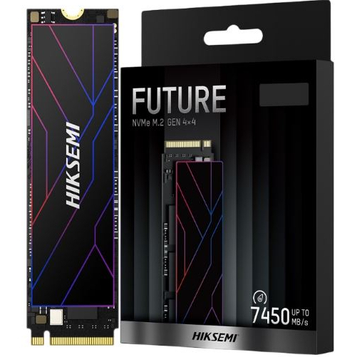HIKSEMI FUTURE 2TB M.2 PCIE : HS-SSD-FUTURE 2048G SSD