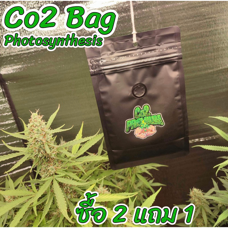 ส่งฟรี ‼️ Co2 Bag (ถุงCo2) สำหรับปลูกพืช In Door ทุกชนิด (เกรดพรีเมี่ยม🔥)