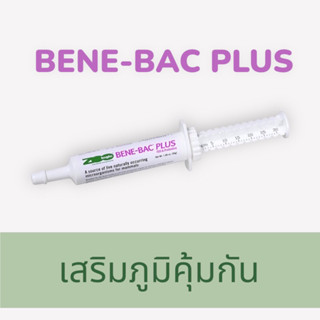 Bene-Bac Plus อาหารเสริม โปรไบโอติก เสริมภูมิคุ้มกัน ช่วยย่อย สำหรับสุนัข แมว กระต่าย (30g/หลอด)