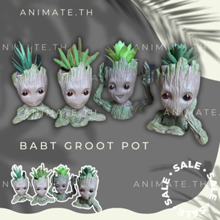 กระถางต้นไม้ BABY GROOT กระถางแคคตัส ที่ใส่ของอเนกประสงค์ (4แบบ)