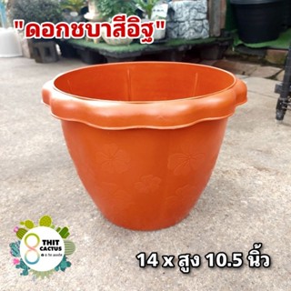 กระถาง ดอกชบา สีอิฐ 14 นิ้ว // กระถางแคคตัส กระถางพลาสติก กระถางเกษตร