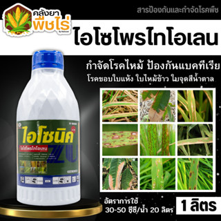 🌽 ไอโซนิค (ไอโซโพรไทโอเลน) 1ลิตร ป้องกันกำจัดโรคใบไหม้