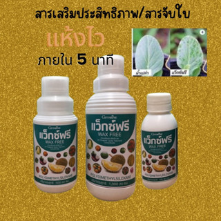 สารเสริมประสิทธิภาพ สารจับใบ แว็กซ์ฟรี WAX FREE ดูดซึมผ่านใบภายใน 5นาที ใช้ได้ทุกฤดู ขนาด 1 ลิตร