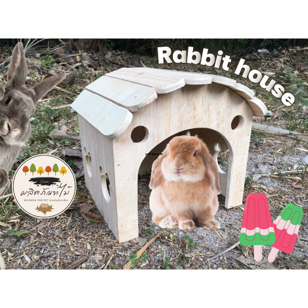 บ้านกระต่าย ที่นอนไม้สำหรับสัตว์เลี้ยงขนาดใหญ่ ที่อาศัย แกสบี้ แพรี่ด็อก ชินชิล่า เต่า ตกแต่งกรง(กระต่ายหลังคาไอติม)