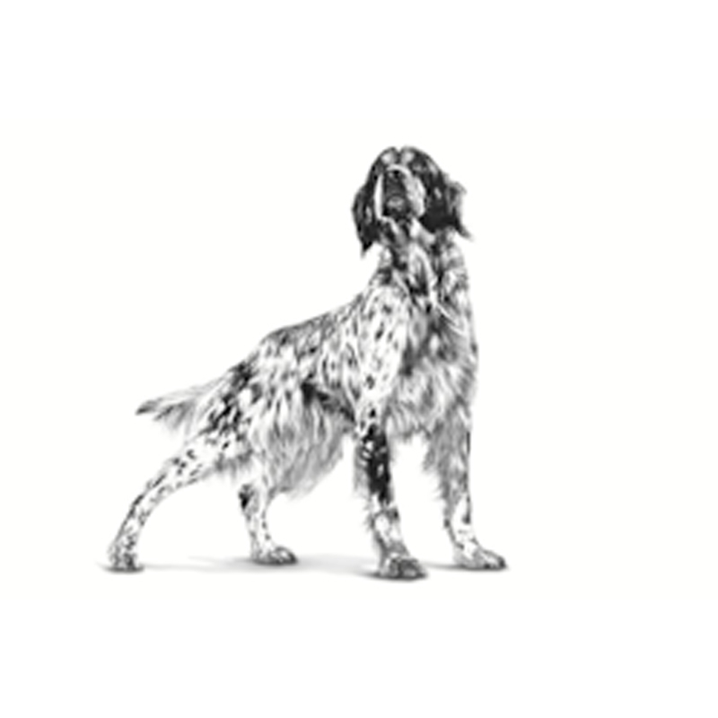 Royal Canin Veterinary Diet Hypoallergenic Small Dog โภชนบำบัดสำหรับสุนัขที่มีภาวะแพ้อาหาร ขนาด3.5กก.