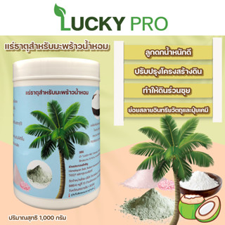 ปุ๋ยสำหรับมะพร้าวน้ำหอม ลูกดก น้ำหนักดี 1,000 G. เร่งโต LUKCY PRO ใช้ปริมาณน้อย ลดต้นทุน เพิ่มผลผลิต