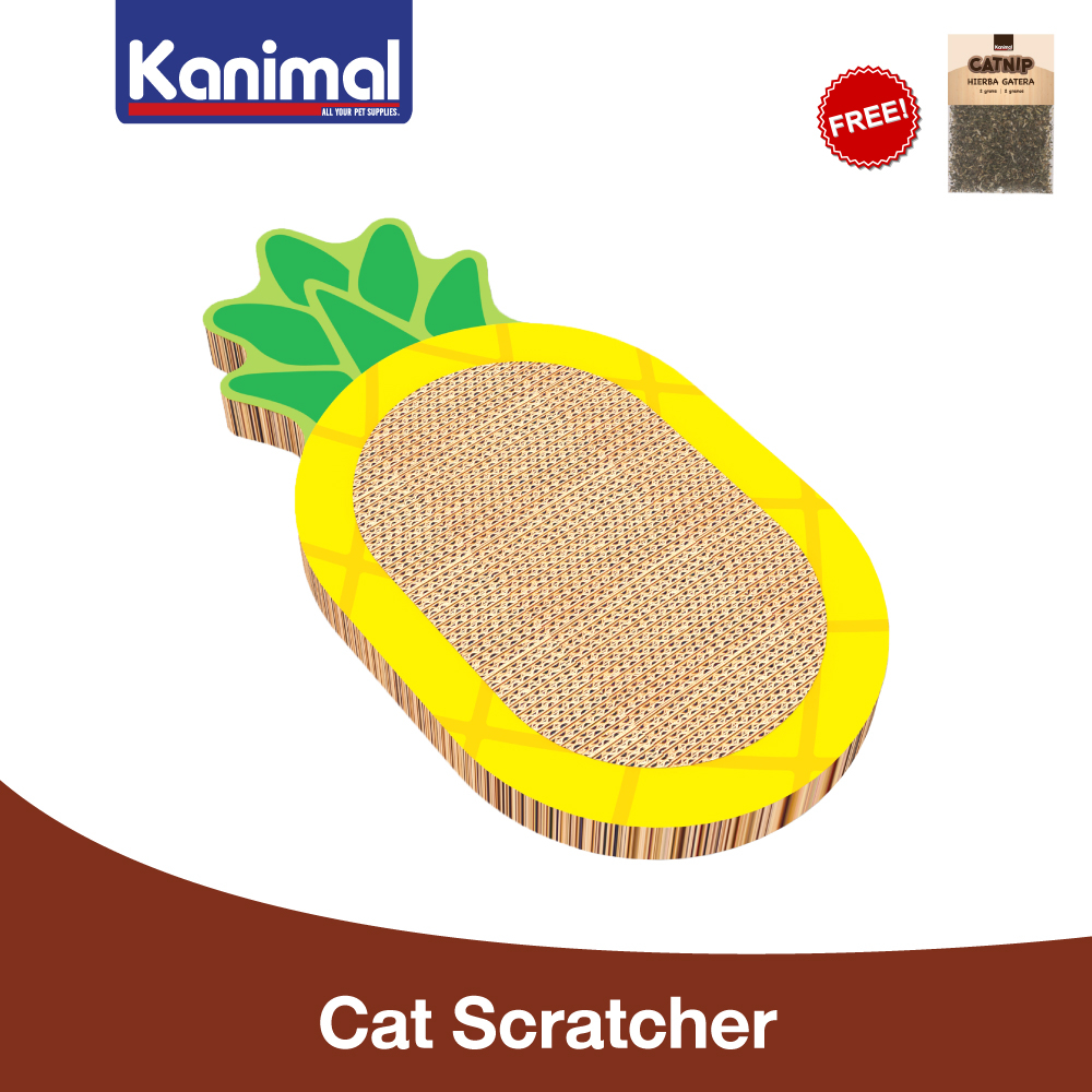 [01002] Kanimal Cat Toy ของเล่นแมว ที่ลับเล็บแมว รุ่น Pineapple Size S 39.5x20x2.5 ซม. แถมฟรี! Catnip