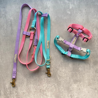 H Harness + Multifunction Leash Value set