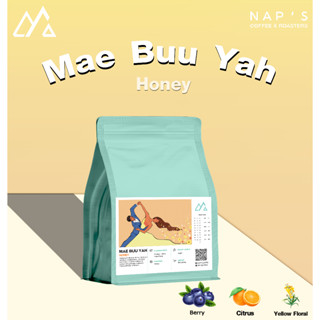 NAPSCOFFEE เมล็ดกาแฟปางขอนคั่วอ่อน Mae buu yah  - Honey 200G