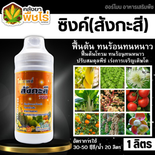 🌽 โฟแมกซ์ สังกะสี700 (สังกะสีละลายน้ำ) 1ลิตร ป้องกันอาการใบแก้ว ใบลายในส้ม กระตุ้นการแตกตา พืชทนต่อสภาพอากาศหนาวได้ดี