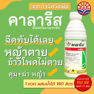 ส่งไว! คาลารีส คุมและฆ่าหญ้าในข้าวโพด ฉีดทับข้าวโพดได้ หญ้าตาย ข้าวโพดไม่ตาย