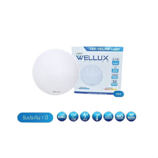 WELLUX โคมซาลาเปา CE3-32 แสงขาว