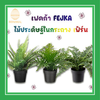 เฟิร์น ไม้ประดิษฐ์ในกระถาง ใน/นอกอาคาร FEJKA