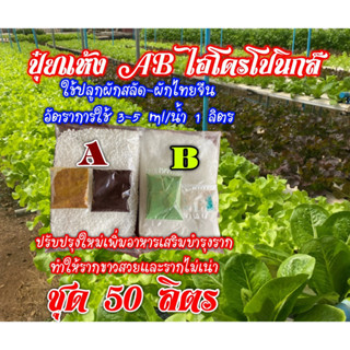 ปุ๋ยแห้ง AB ผักสลัด ผักไทย ฯ ชุดคู่ 50 ลิตร