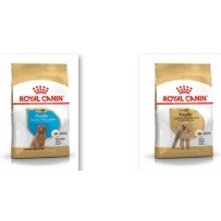 Royal Canin  Poodle Adult 500g / Poodle puppy 500g  สำหรับสุนัขโต ลูกสุนัข พันธุ์ พุดเดิ้ล ขนาด  500 กรัม