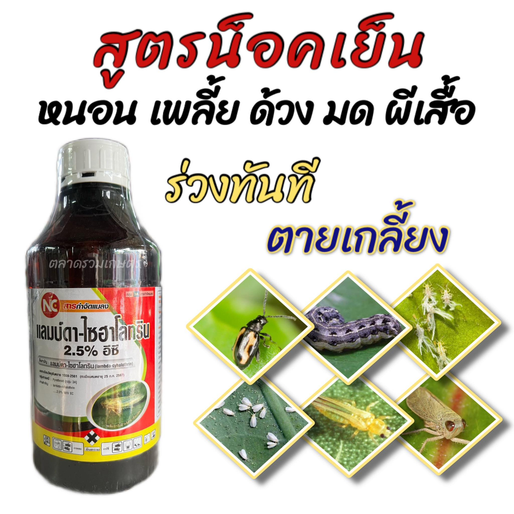 แลมบ์ดา-ไซฮาโลทริน แลมป์ดา แลมด้า NC สูตรน็อคเย็น แมลงร่วงกระจาย สารกำจัดแมลง กำจัดแมลง หนอน เพลี้ย แมลงบิน 1 ลิตร