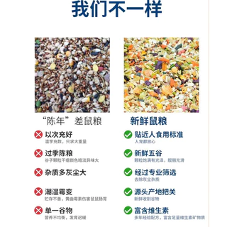 อาหารหนูแฮมสเตอร์ รสทะเลและผักผลไม้ 🐹 Hamster Food สูตรผสม ZC ขนาด 500 g.