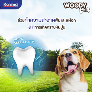 Kanimal TUFF Woody Bone ของเล่นไม้ธรรมชาติ กระดูกไม้ธรรมชาติ ของเล่นสุนัข