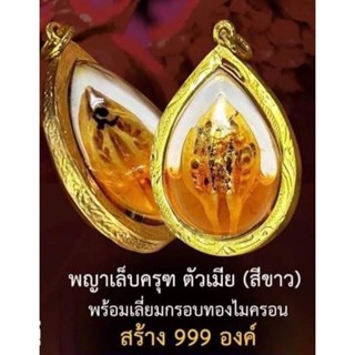 พญาเล็บครุฑมหาโภคทรัพย์ ตัวเมีย (สีขาว) พร้อมเลี่ยมกรอบทองไมครอน หลวงปู่อิ่ม วัดทุ่งนาใหม่ จ.นครศรีธรรมราช