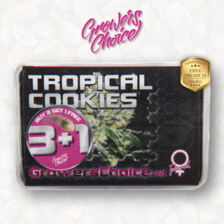 Tropical Cookies (Photo) - Growers Choice เมล็ดกัญชา นำเข้าแท้100% เมล็ดเพศเมีย