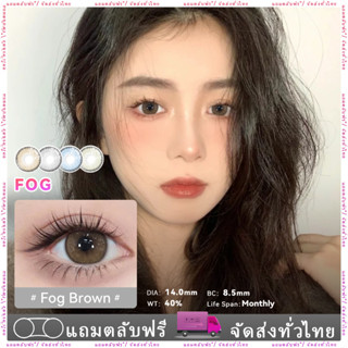 Midroo🍭 คอนแทคเลนส์ขนาดมินิ 🌷คอนแทก คอนแทคเลนส์ Fog Brown/ Fog Grey Mini Size-14.0mm