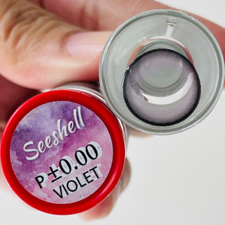 New ** Seeshell Violet สีม่วง Contact lens คอนแทคเลนส์ Bigeyes บิ๊กอาย ตาโต โทนแบ๊ว แบ๊ว สายตาสั้น ค่าสายตา แฟชั่น สายตา