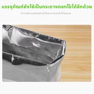 yoyopet : หญ้าแมว ชุดปลูกข้าวสาลี ชุดหญ้าออร์แกนิคพร้อมปลูก วิตามินแมว สำหรับหมา,แมว,หนู,กระต่ายฯลฯ