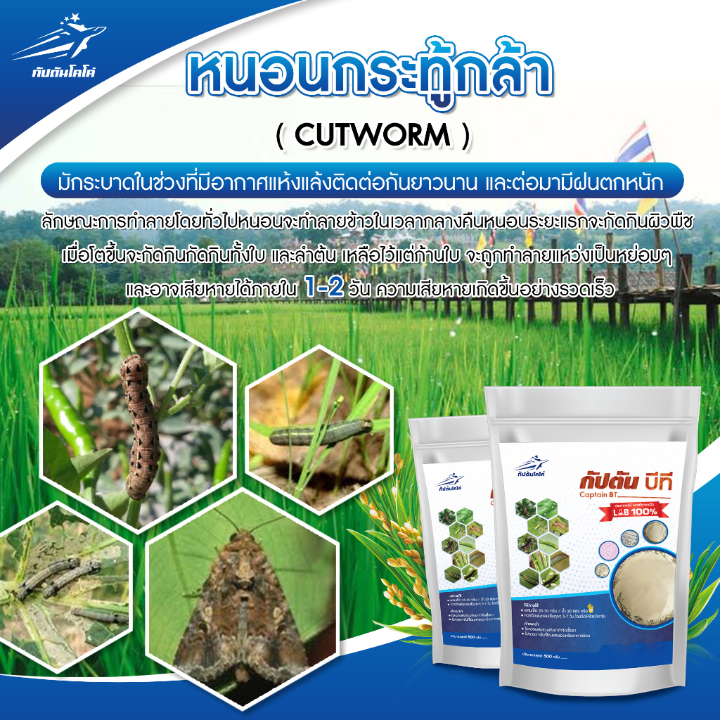 รูปภาพ 5