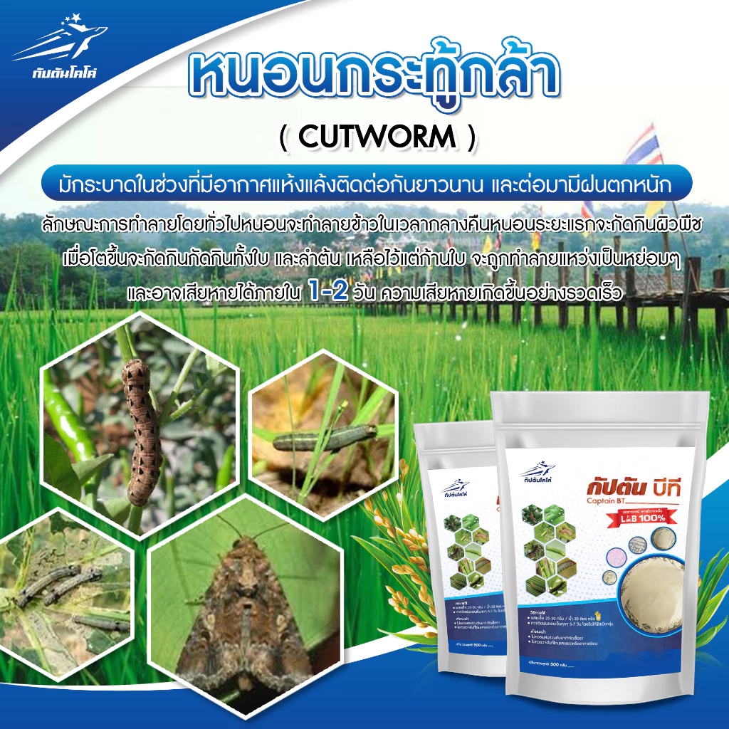 กัปตันบีที Bt สูตรเข้มข้น Bacillus Thuringiensis กำจัดแมลง thumbnail 6