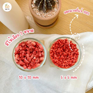 Wel-B Freeze-dried Strawberry Diced 10x10mm 100g (เวลบีสตรอเบอรี่กรอบหั่นเต๋า 10x10mm 100กรัม)