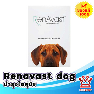 หมดอายุ 3/25 RENAVAST DOG วิตามินบำรุงไตสำหรับสุนัข 60 เม็ด