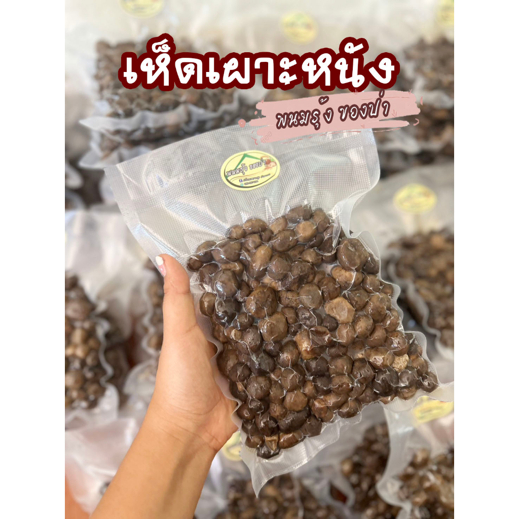 🍄เห็ดเผาะหนัง🍄เห็ดป่าแท้ธรรมชาติ ของดี หายาก ทำความสะอาดต้มสุก พร้อมนำไปประกอบอาหาร