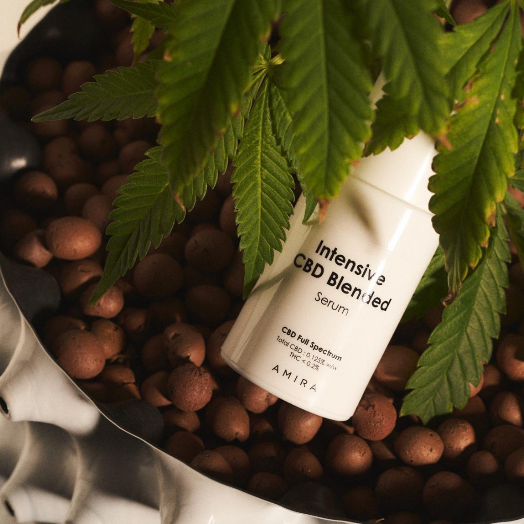 INTENSIVE CBD BLENDED Serum in Cream