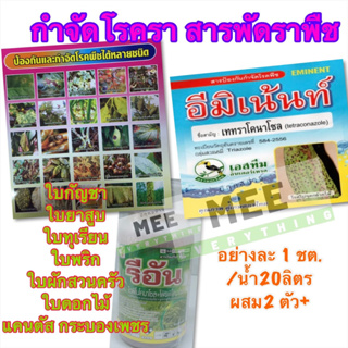 เชื้อราต้นไม้ ราผัก ราใบกัญชง ราทุเรียน ใบเหลือง ใบจุด ใบสนิม ใบไหม้ ใบร่วง พืชผักสวนครัว ไม้ดอกไม้ประดับ ชุดทดลอง